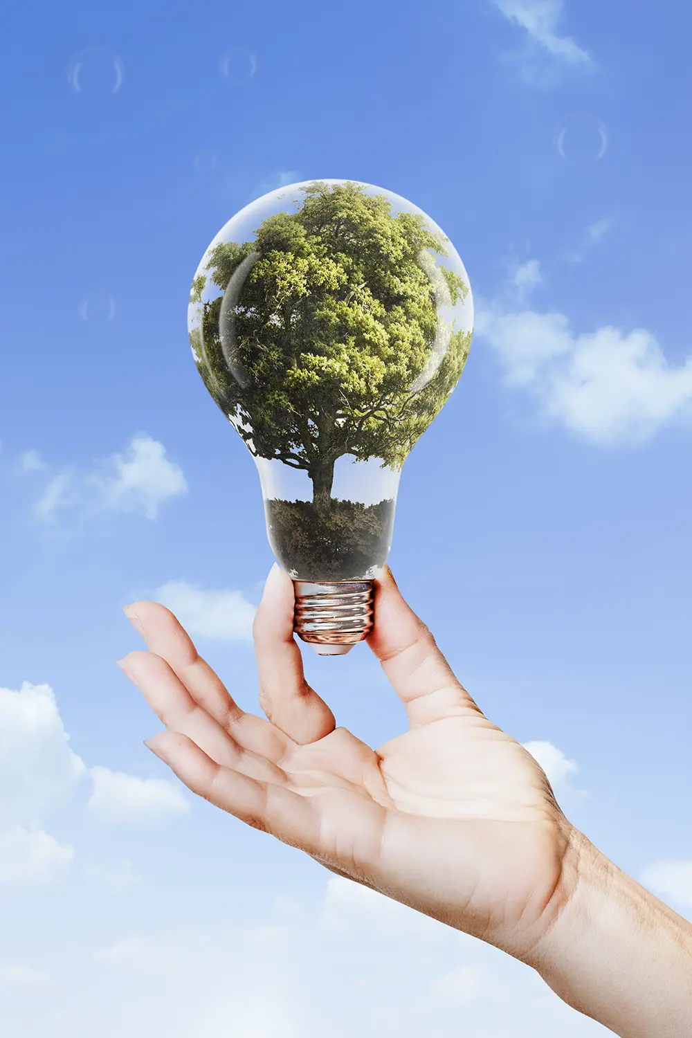 Asesoría energética